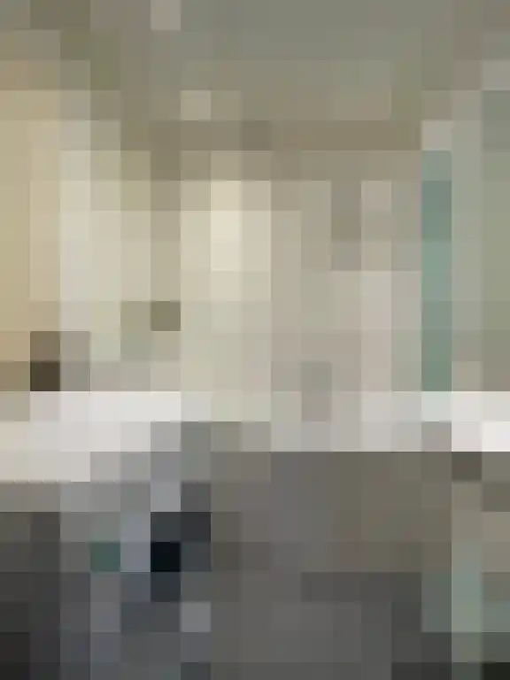 Johan de Wittlaan Arnhem thumbnail 6