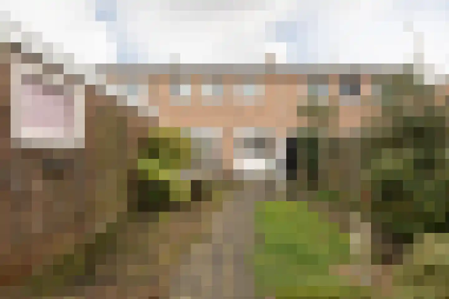 Johan de Wittplein 12 Sneek thumbnail 29