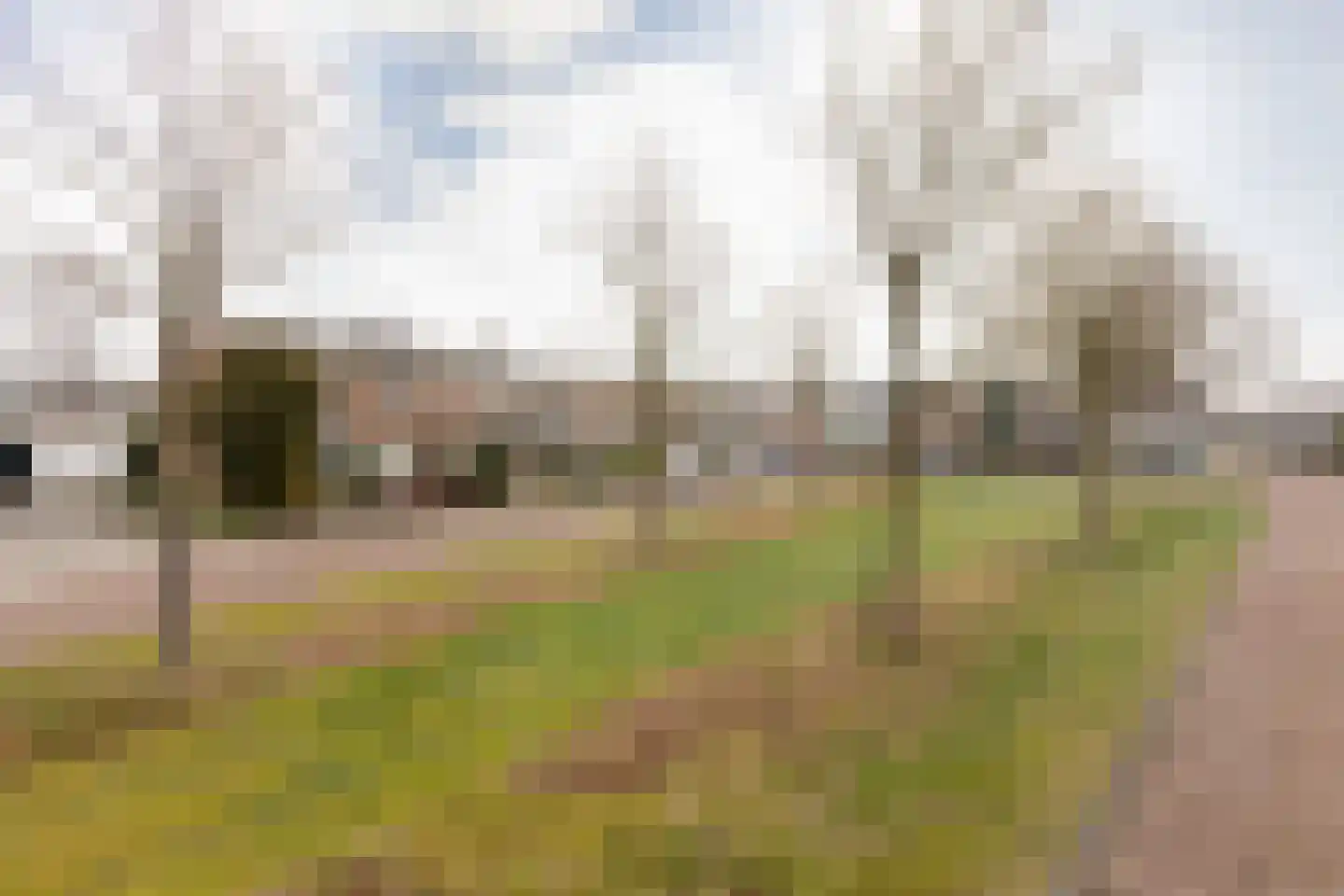 Johan de Wittplein 12 Sneek thumbnail 33