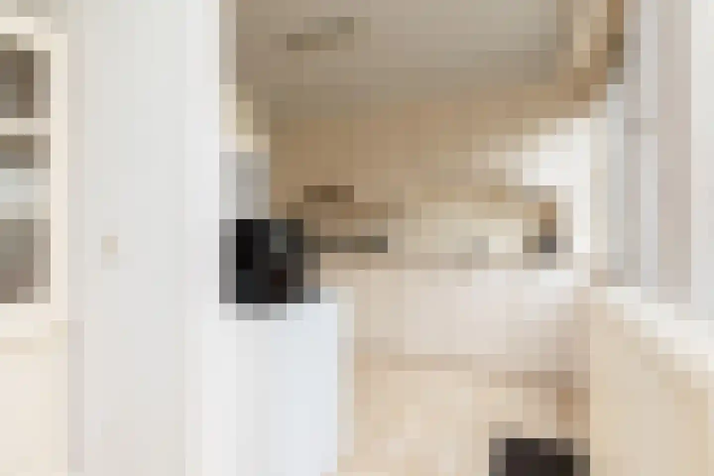 Johan de Wittplein 12 Sneek thumbnail 8