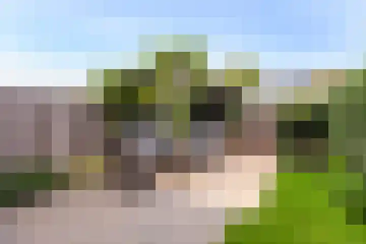 Johan de Wittstraat 102 Vlaardingen thumbnail 14