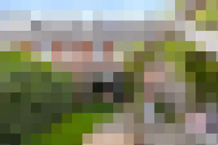 Johan de Wittstraat 102 Vlaardingen thumbnail 15