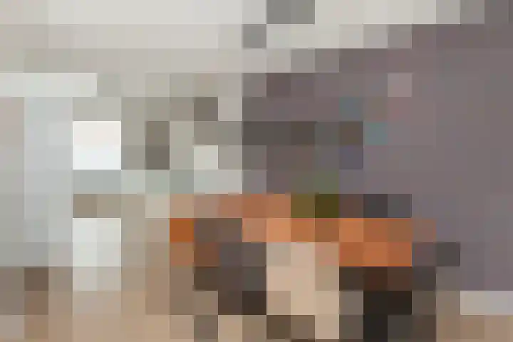 Johan de Wittstraat 102 Vlaardingen thumbnail 17
