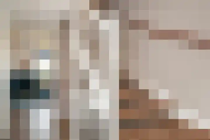 Johan de Wittstraat 102 Vlaardingen thumbnail 21