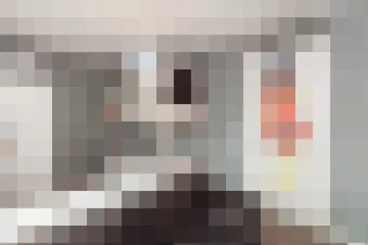 Johan de Wittstraat 102 Vlaardingen thumbnail 22