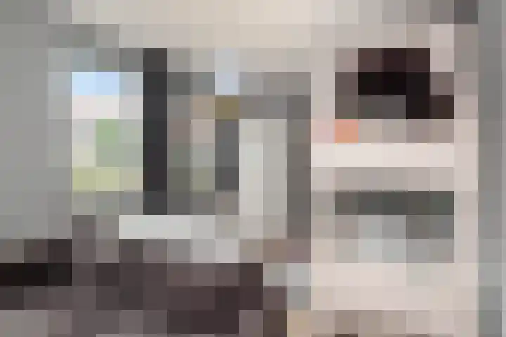 Johan de Wittstraat 102 Vlaardingen thumbnail 23