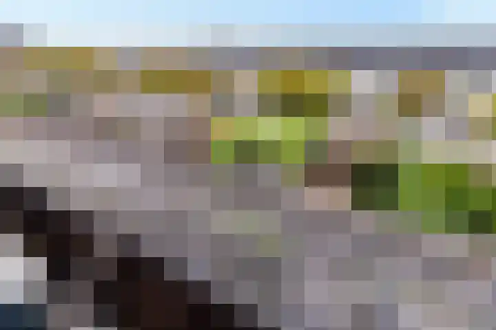 Johan de Wittstraat 102 Vlaardingen thumbnail 39