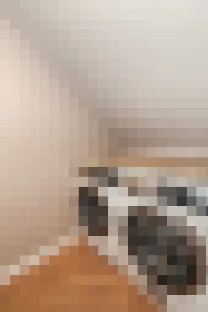 Johan de Wittstraat 102 Vlaardingen thumbnail 46