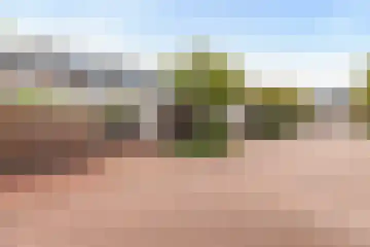 Johan de Wittstraat 102 Vlaardingen thumbnail 47