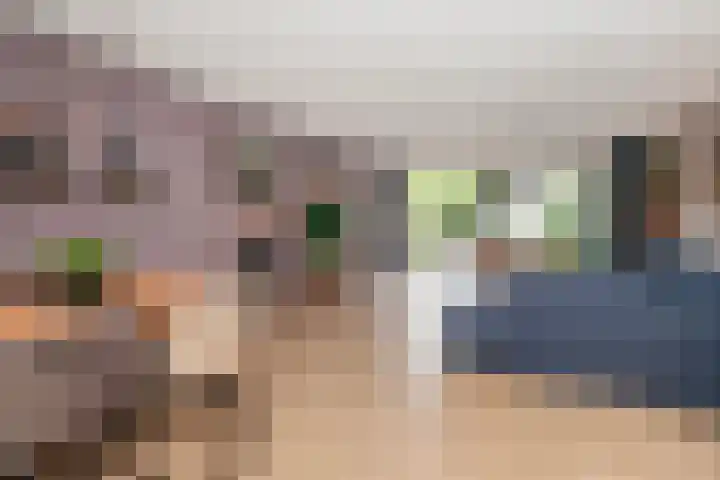 Johan de Wittstraat 102 Vlaardingen thumbnail 8