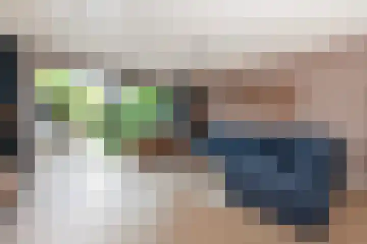 Johan de Wittstraat 102 Vlaardingen thumbnail 9