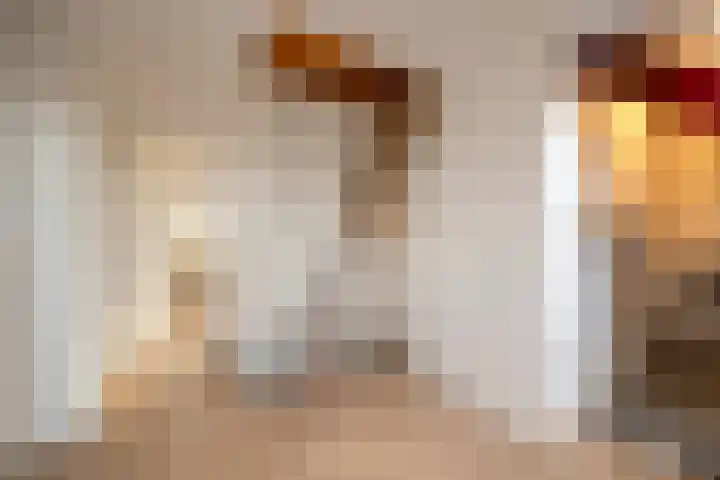 Johan de Wittstraat 11 Wassenaar thumbnail 34