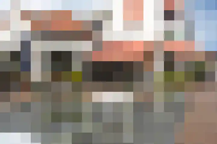 Johan de Wittstraat 11 Wassenaar thumbnail 39