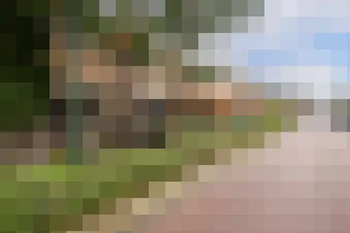 Johan de Wittstraat 11 Wassenaar thumbnail 6
