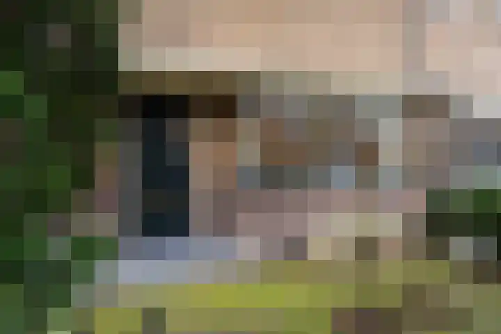 Johan de Wittstraat 11 Wassenaar thumbnail 7