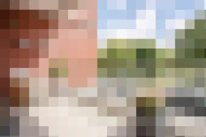Johan de Wittstraat 111 Wassenaar thumbnail 12