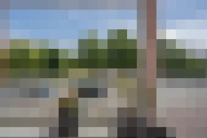Johan de Wittstraat 111 Wassenaar thumbnail 14