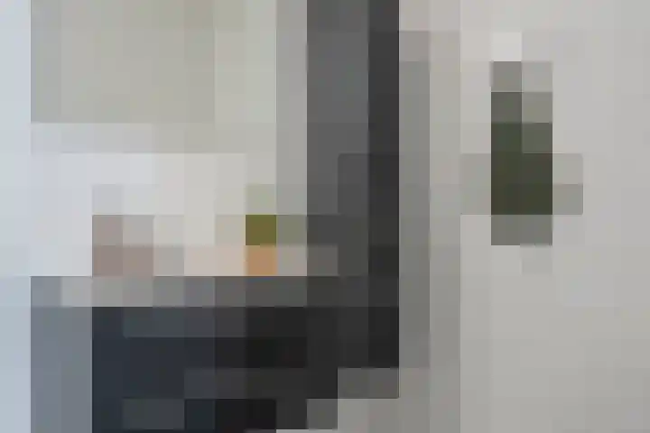Johan de Wittstraat 111 Wassenaar thumbnail 30