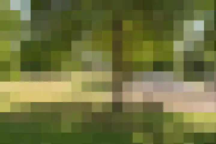 Johan de Wittstraat 111 Wassenaar thumbnail 33