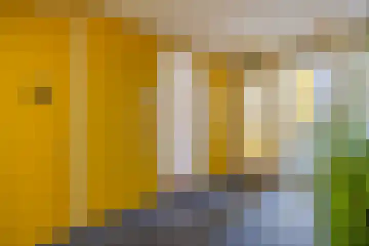 Johan de Wittstraat 111 Wassenaar thumbnail 5