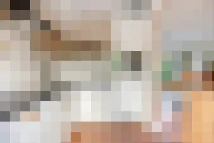 Johan de Wittstraat 13 Zwolle thumbnail 11