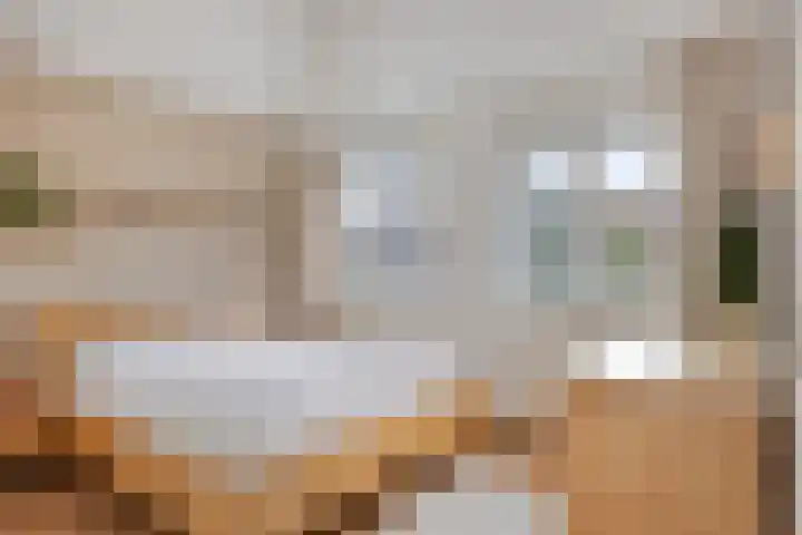 Johan de Wittstraat 13 Zwolle thumbnail 15