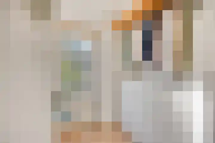 Johan de Wittstraat 13 Zwolle thumbnail 19