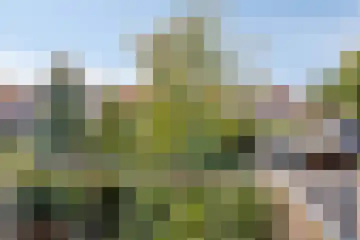 Johan de Wittstraat 13 Zwolle thumbnail 20