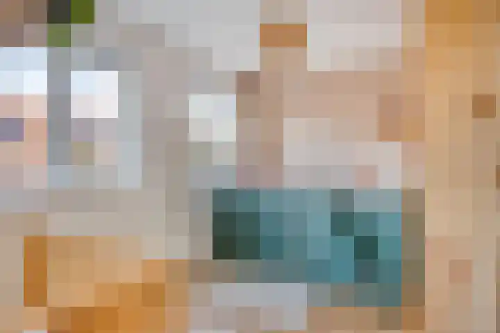 Johan de Wittstraat 13 Zwolle thumbnail 21
