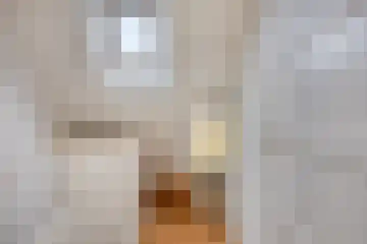 Johan de Wittstraat 13 Zwolle thumbnail 22