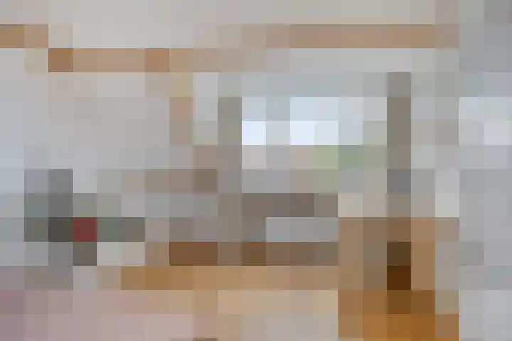 Johan de Wittstraat 13 Zwolle thumbnail 24