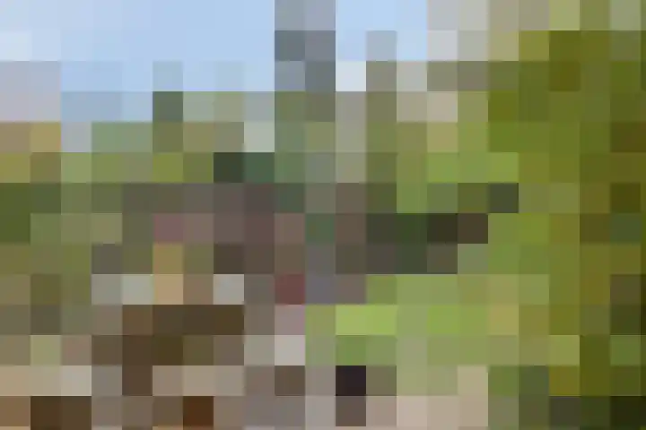 Johan de Wittstraat 13 Zwolle thumbnail 27