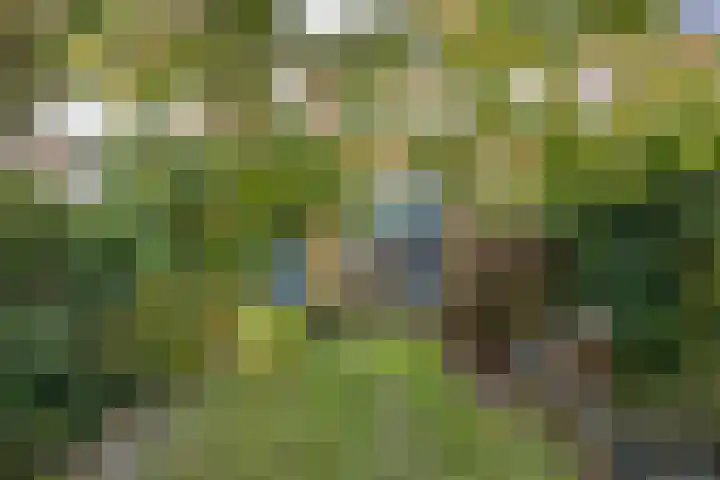 Johan de Wittstraat 13 Zwolle thumbnail 30