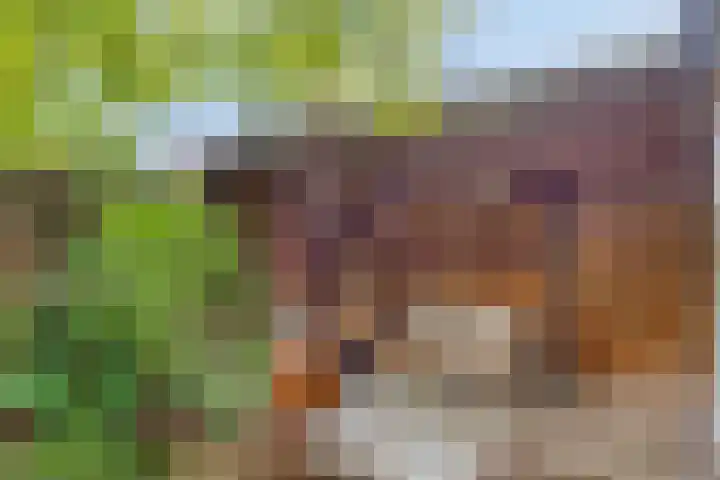 Johan de Wittstraat 13 Zwolle thumbnail 33