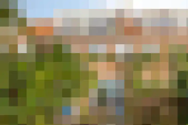 Johan de Wittstraat 13 Zwolle thumbnail 34