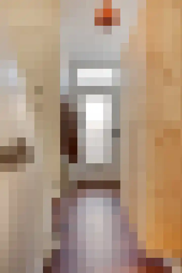 Johan de Wittstraat 13 Zwolle thumbnail 4