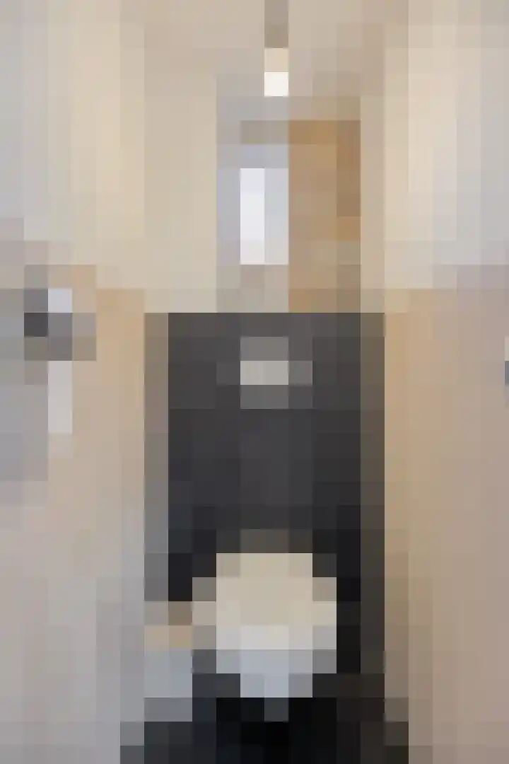 Johan de Wittstraat 13 Zwolle thumbnail 5