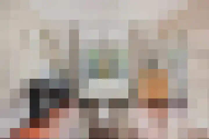 Johan de Wittstraat 13 Zwolle thumbnail 8
