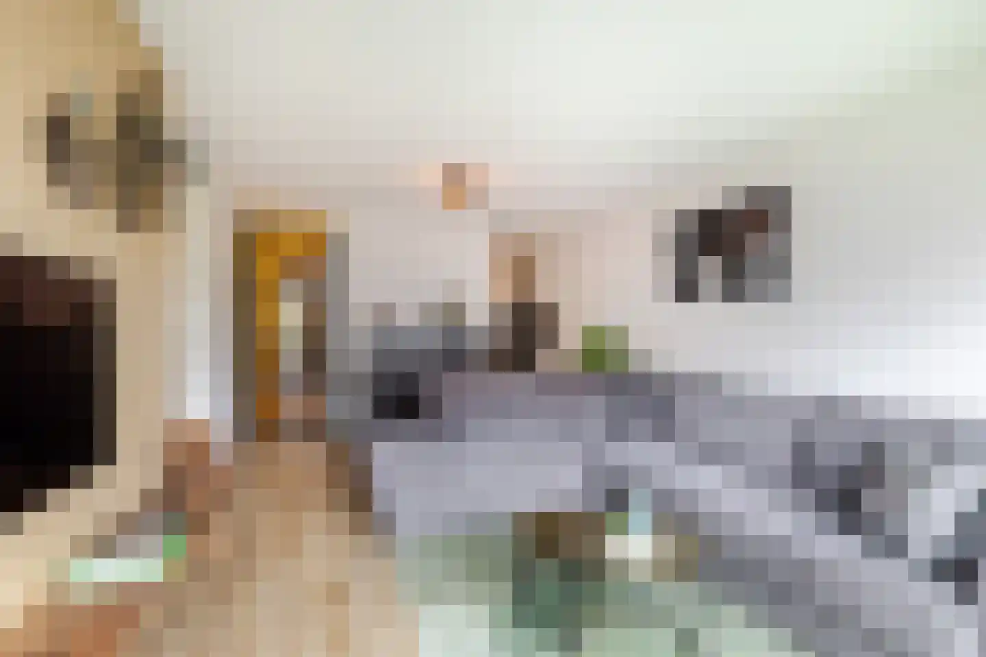 Johan de Wittstraat 131 Vlaardingen thumbnail 18