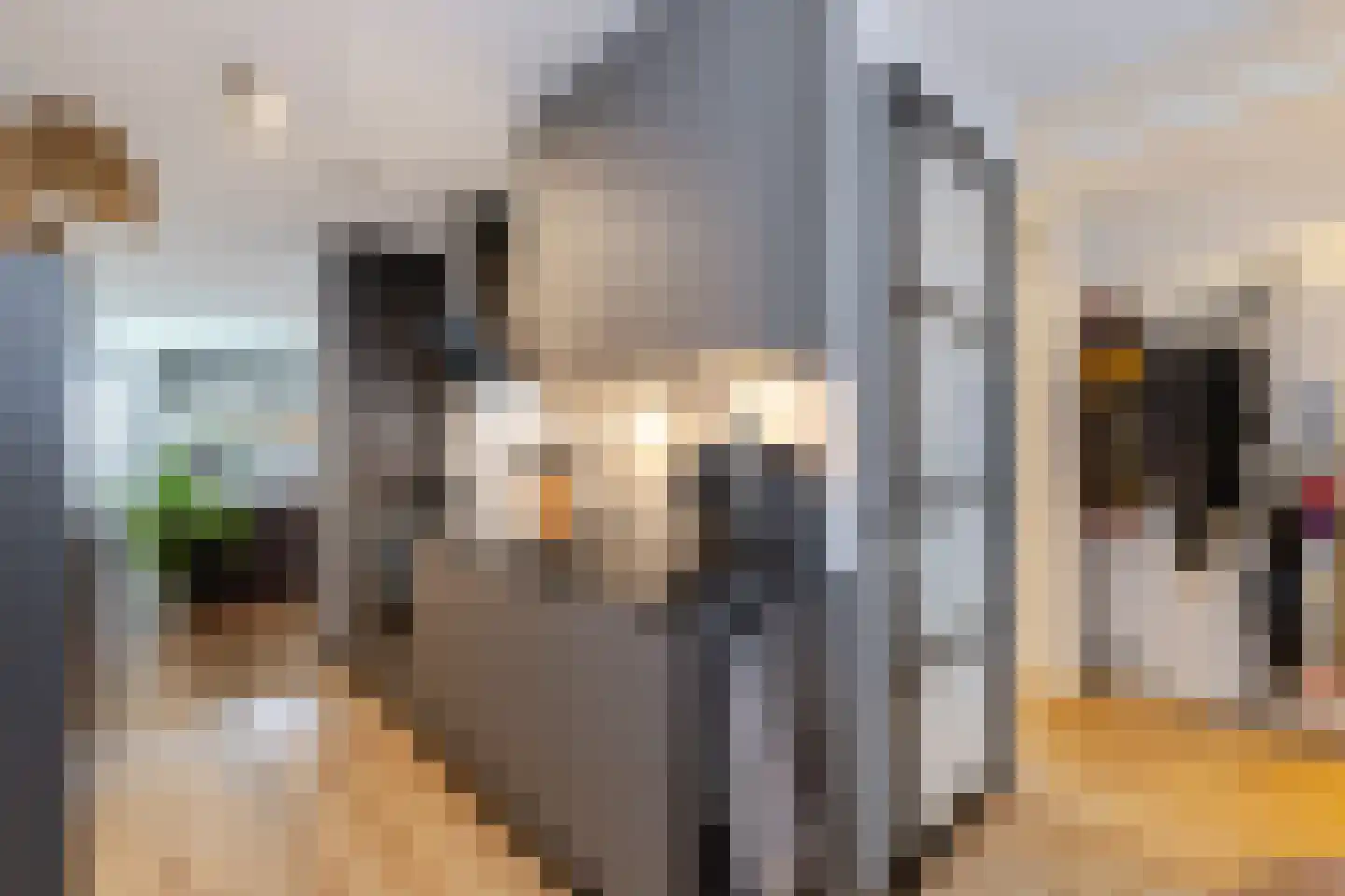 Johan de Wittstraat 131 Vlaardingen thumbnail 22
