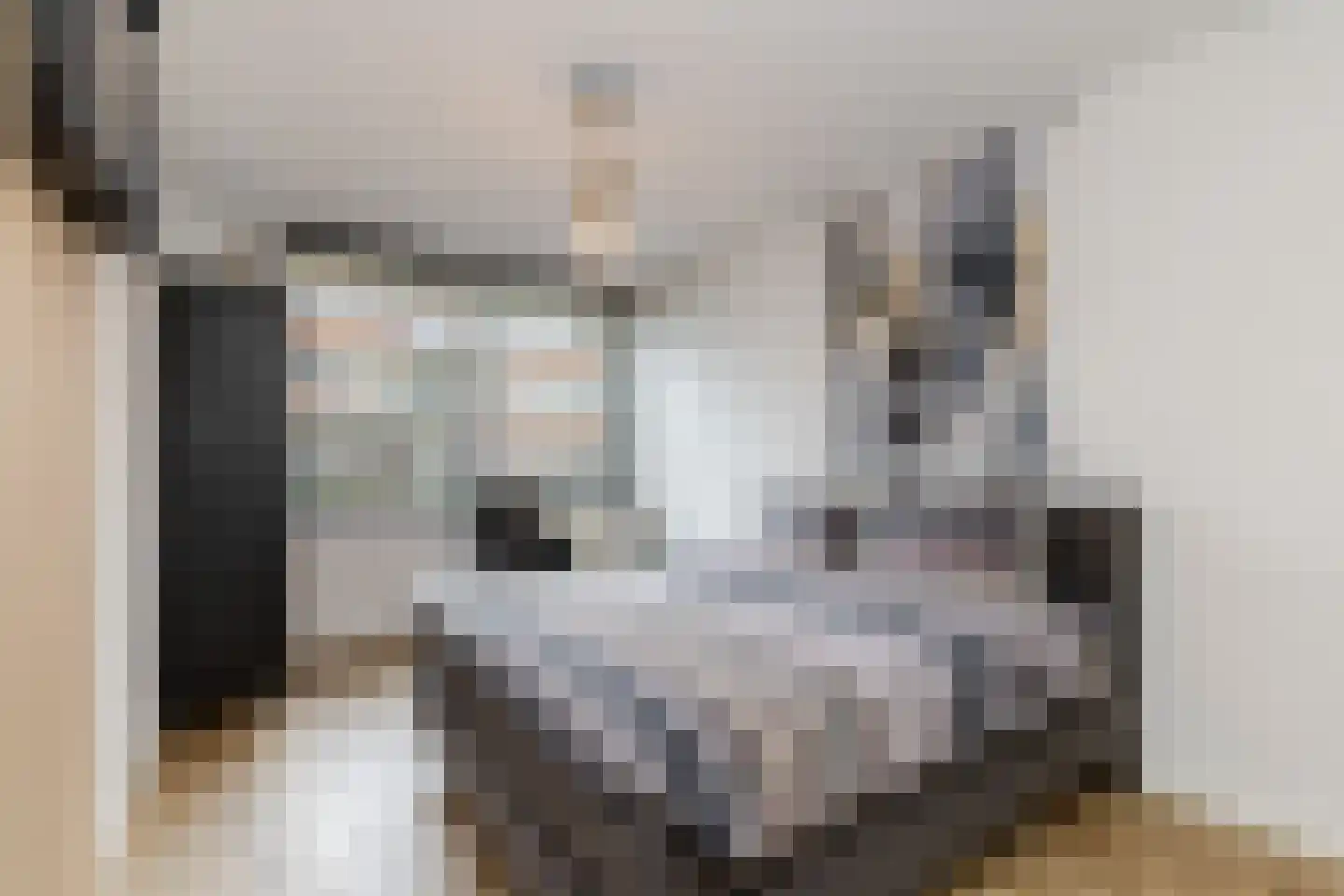 Johan de Wittstraat 131 Vlaardingen thumbnail 28