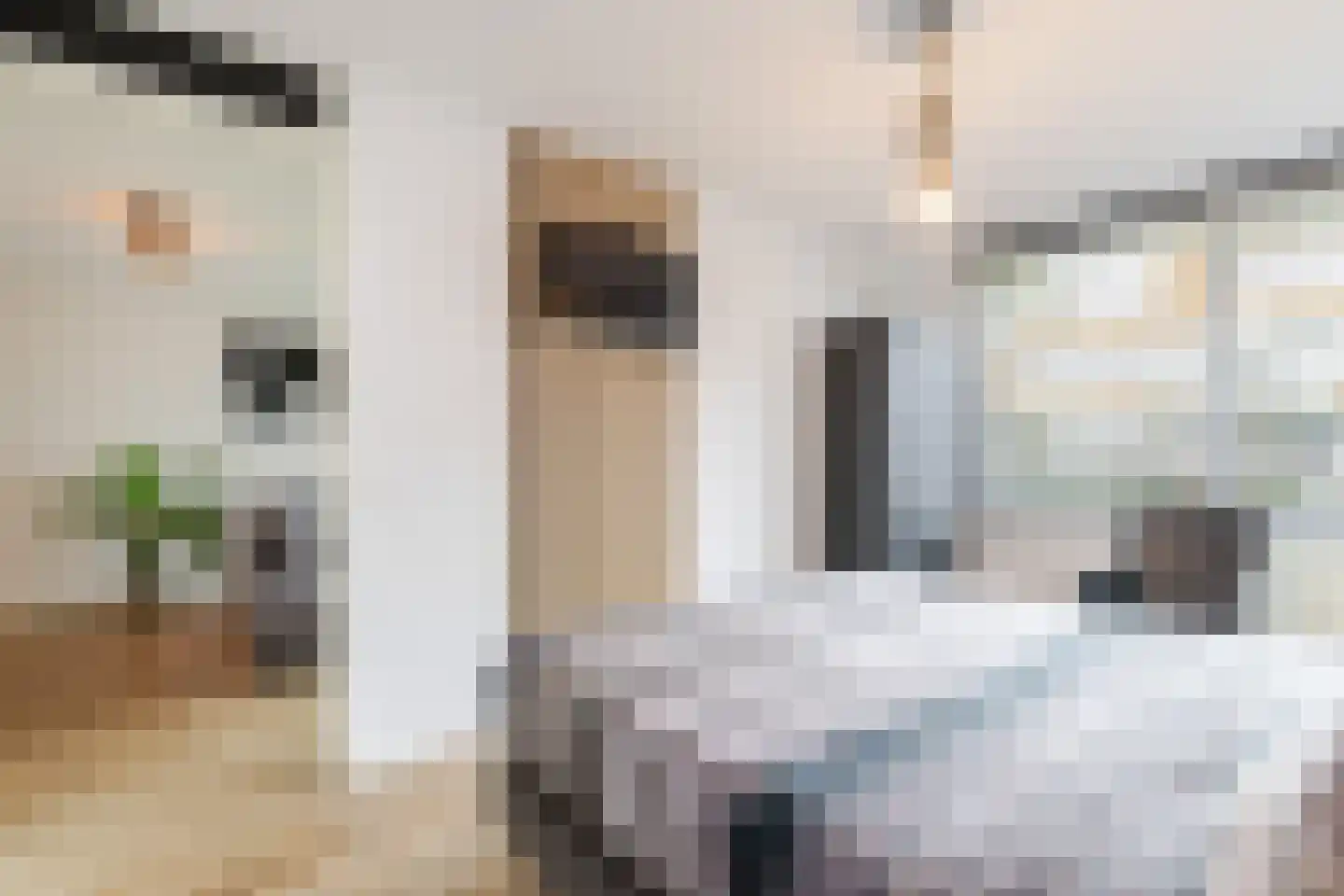 Johan de Wittstraat 131 Vlaardingen thumbnail 29