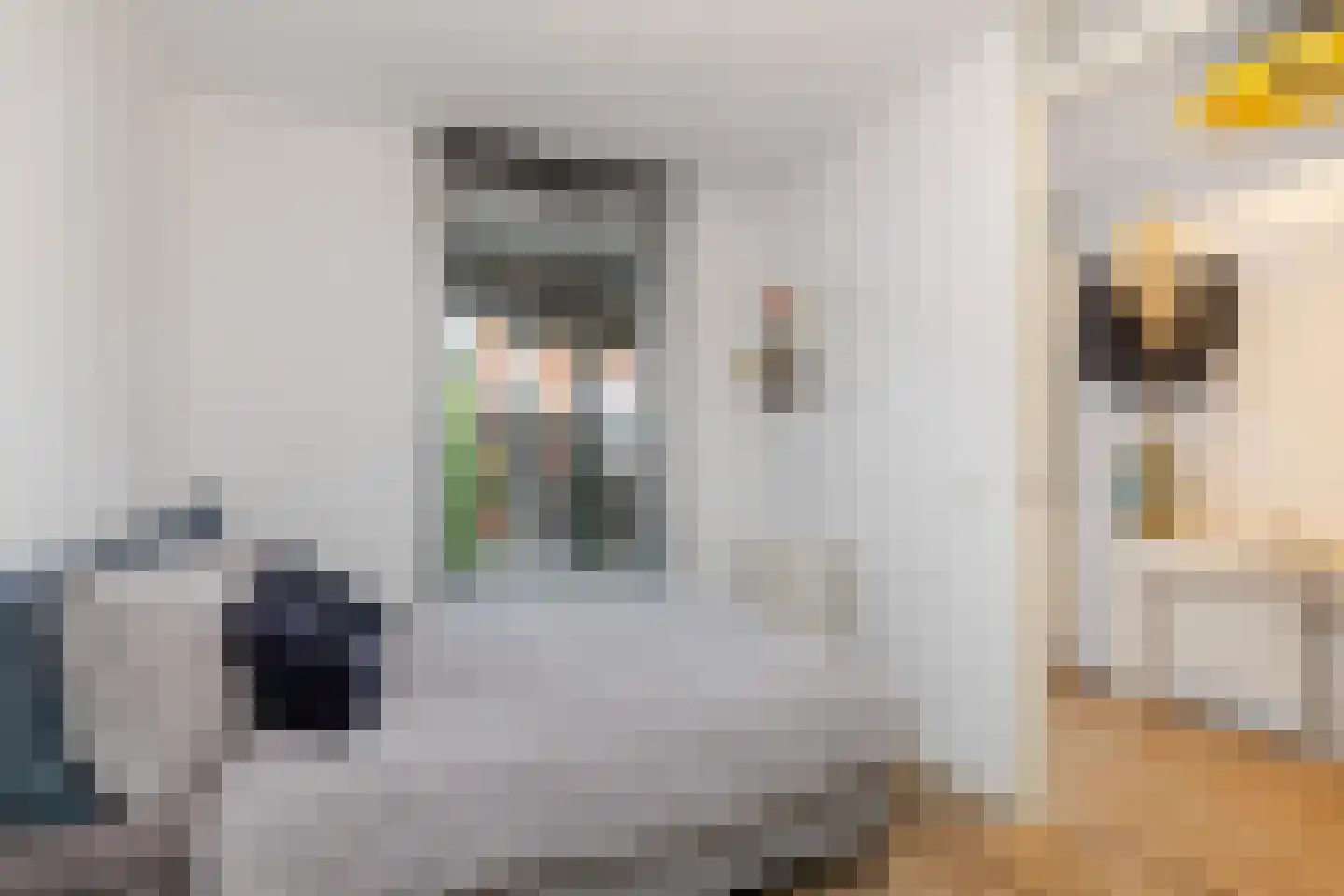 Johan de Wittstraat 131 Vlaardingen thumbnail 33