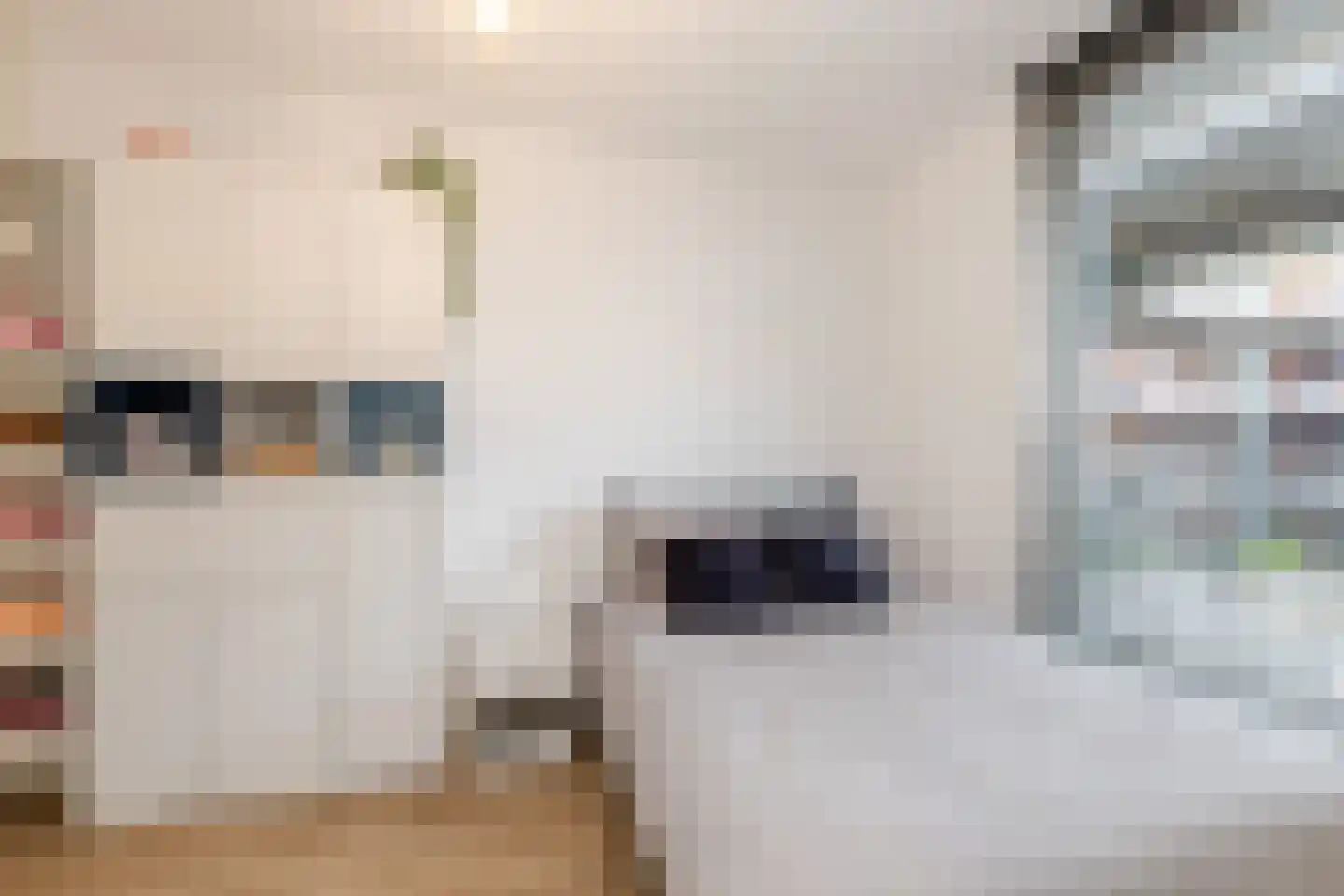 Johan de Wittstraat 131 Vlaardingen thumbnail 34