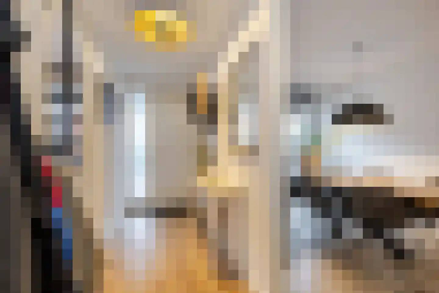 Johan de Wittstraat 131 Vlaardingen thumbnail 39