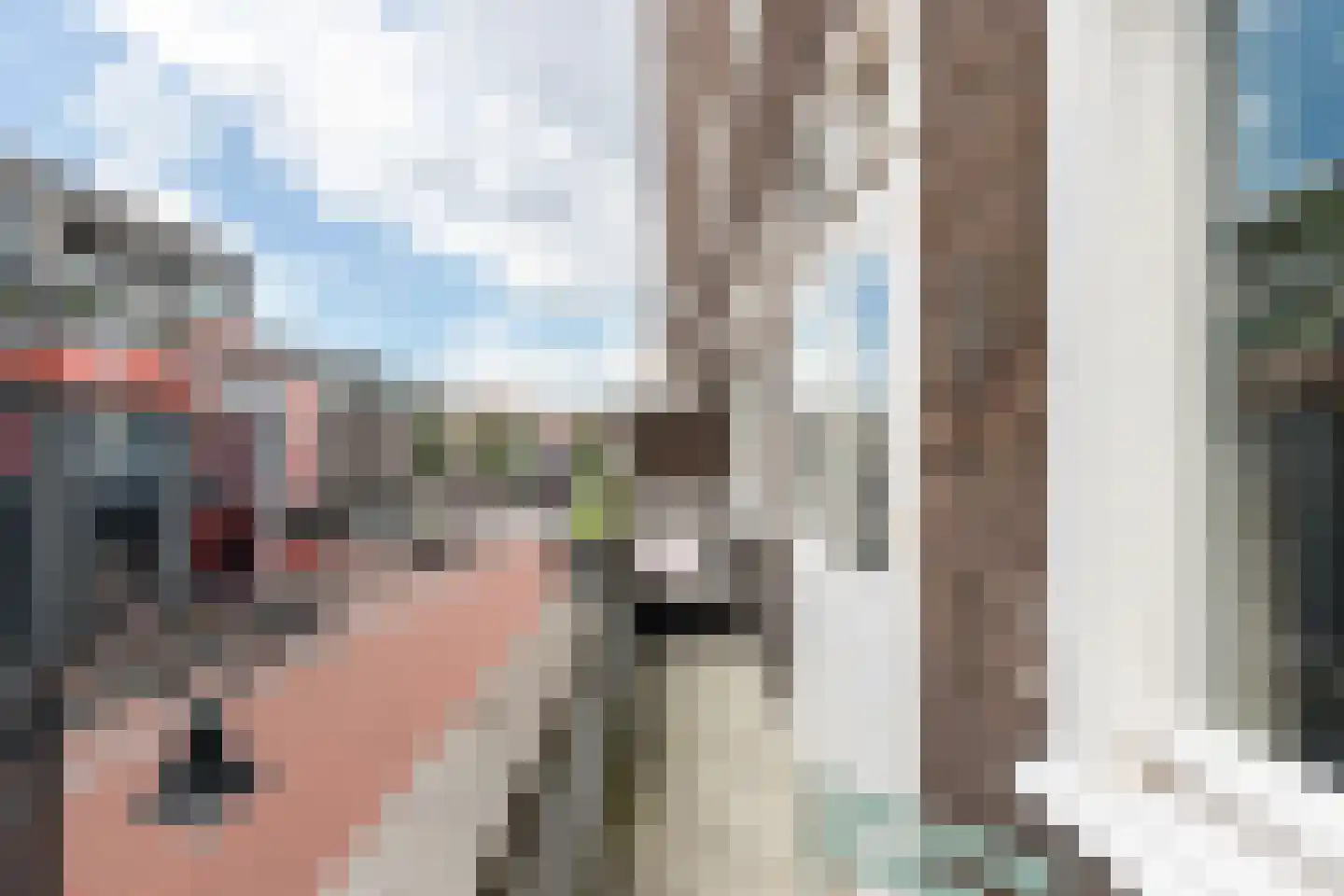 Johan de Wittstraat 14 Dordrecht thumbnail 19