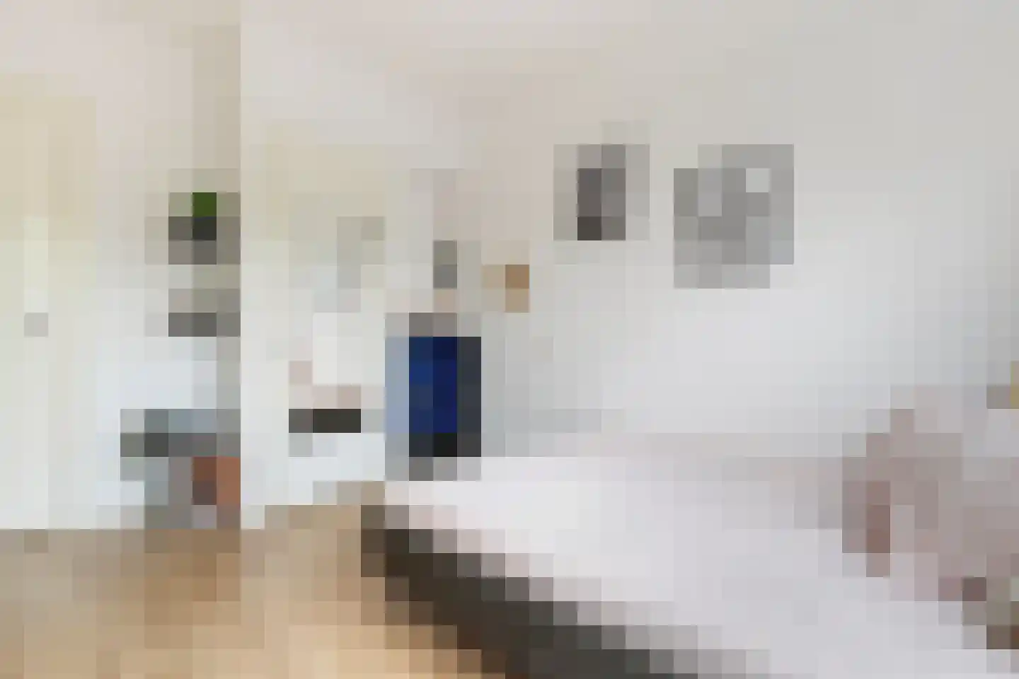 Johan de Wittstraat 14 Dordrecht thumbnail 24