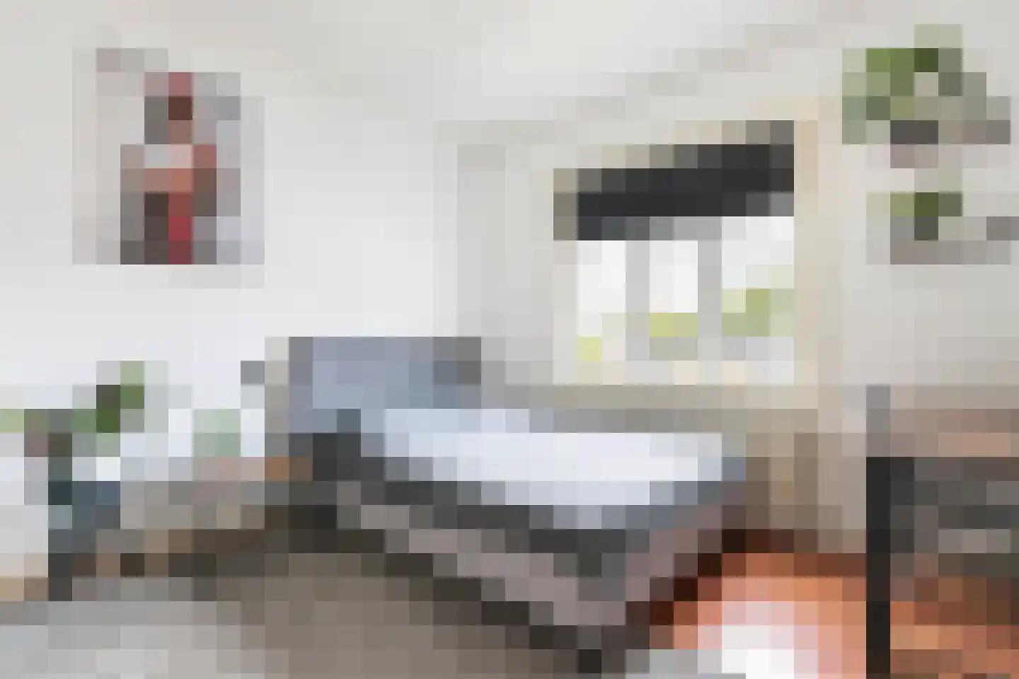 Johan de Wittstraat 14 Dordrecht thumbnail 27