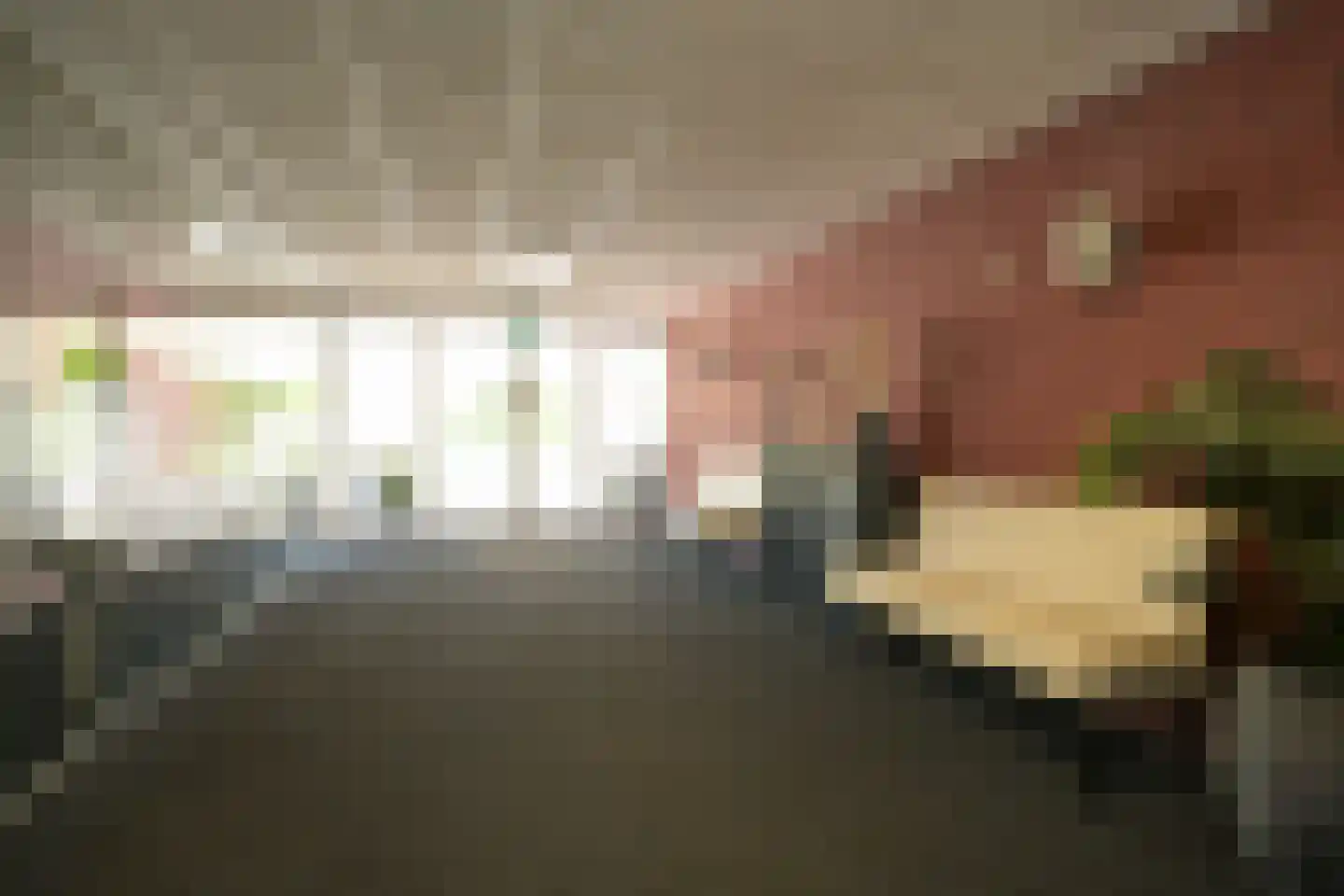 Johan de Wittstraat 141 Wassenaar thumbnail 17