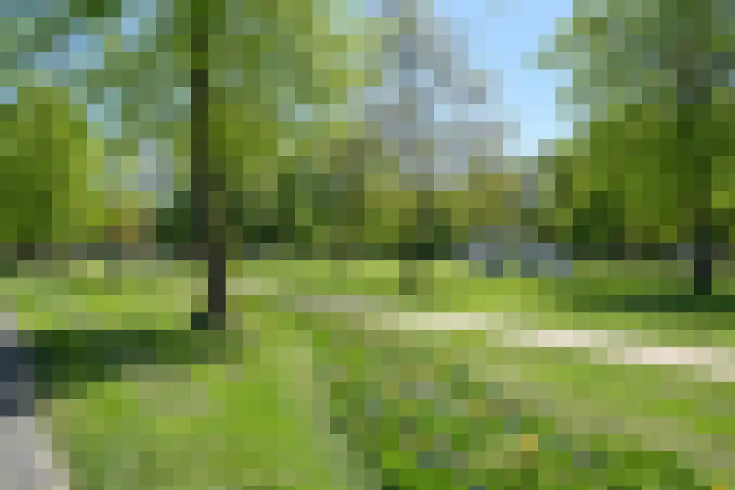Johan de Wittstraat 141 Wassenaar thumbnail 19